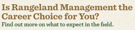 Is rangeland management right for you? Find out more on what to expect in the field