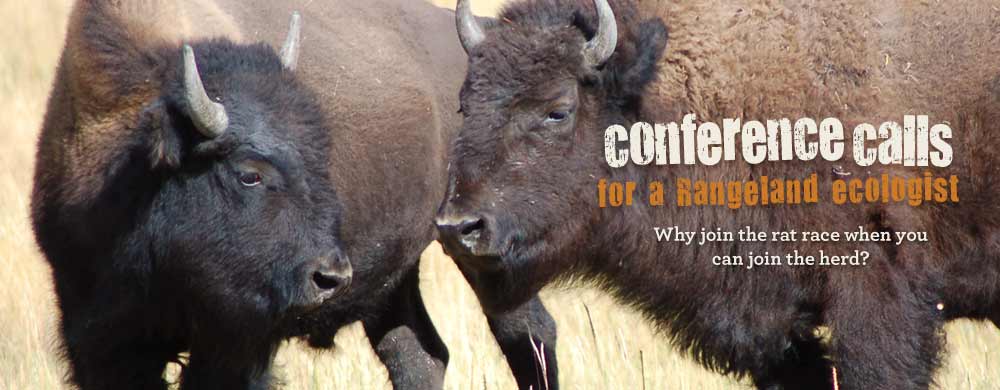 Conference calls for a Rangeland ecologist. Why join the rat race when you can join the herd?